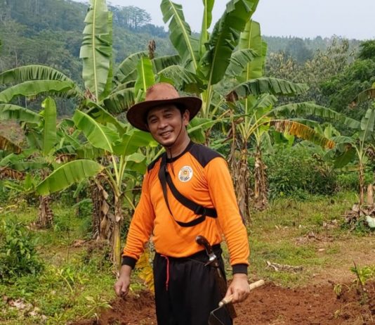 Berpotensi Rugikan Petani, PKS Tolak Kebijakan Import Beras